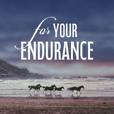 For Your Endurance For Your Endurance