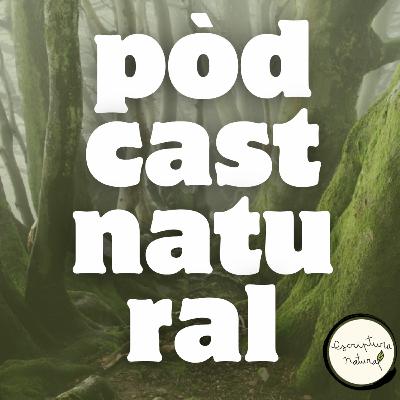 #5 Retrat del conte al natural —amb Elisenda Solsona #5 Retrat del conte al natural —amb Elisenda Solsona