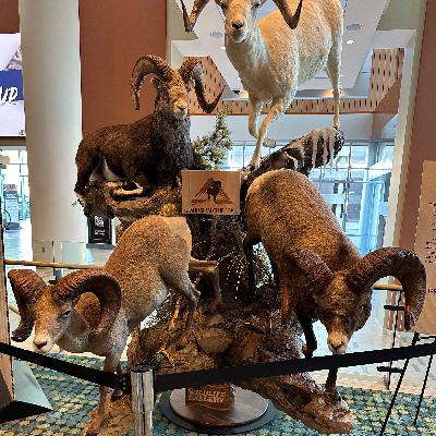 Pro Tips in Passing No. 17- Safari Club International Convention Pro Tips in Passing No. 17- Safari Club International Convention