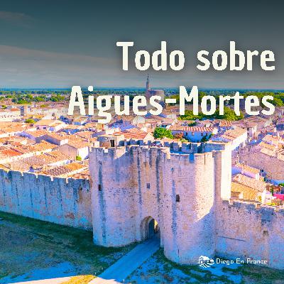 Aigues-Mortes: qué ver y qué hacer | Murallas y salinas rosadas