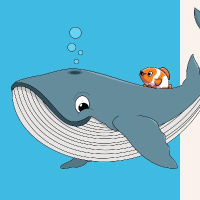 Pourquoi la baleine ne mange pas d'Homme ? - Conte pour enfants (10 min)