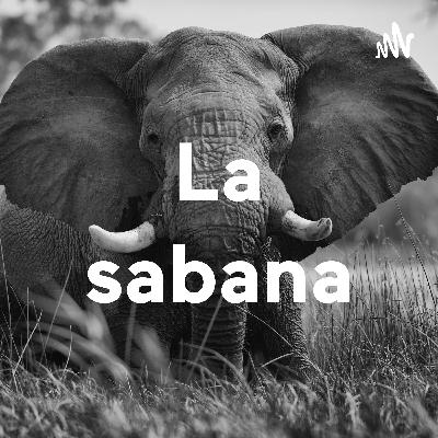 ¡La sabana!