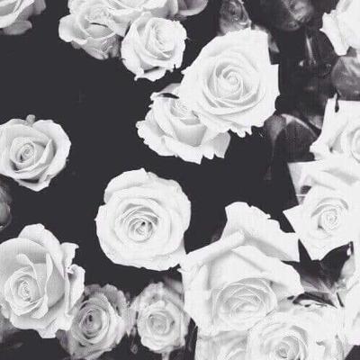 Escritores platicando como escritores.