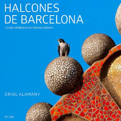 14 - El dels llibres de rapinyaires i dels falcons de Barcelona