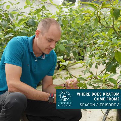 Where Does Kratom Come From?