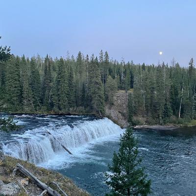 This Week in Yellowstone: June 12th to June 18th, 2025