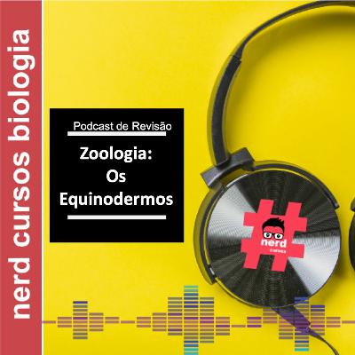 Revisão - Os Equinodermos
