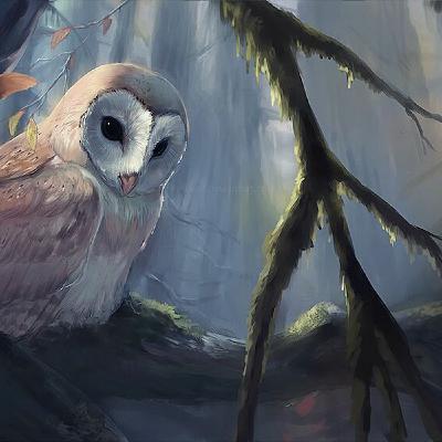 Twilight Twilight