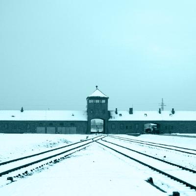 The Nazi Experiment, Vol. 5: Forty Points for the Nazi Party