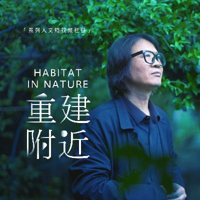 刘悦来：重建附近
