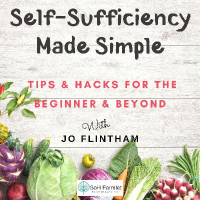 Episode #23 Demystifying Permaculture Principles
