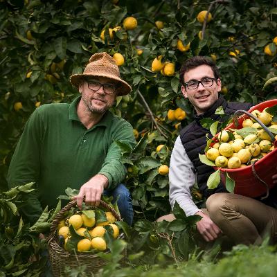 Talents - Laurent Gannac, agrumiculteur à Menton