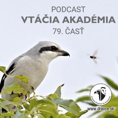 Strakoš napichovač Strakoš napichovač