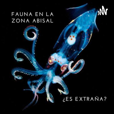¿Por qué consideramos tan extraños a los organismos que habitan en la zona abisal de los océanos? ¿Por qué consideramos tan extraños a los organismos que habitan en la zona abisal de los océanos?