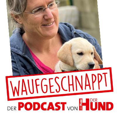 Der Trainingsspezialist - Katja Frey