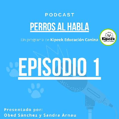Episodio 1. ¿CÓMO AYUDAR A MI PERRO CON PROBLEMAS DE COMPORTAMIENTO?