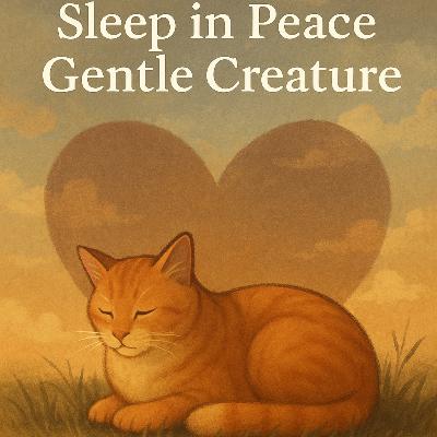 Sleep in Peace Gentle Creature Sleep in Peace Gentle Creature