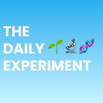 Episode 0: Introducing the Daily Experiment