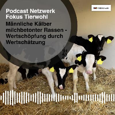 Männliche Kälber milchbetonter Rassen - Wertschöpfung durch Wertschätzung