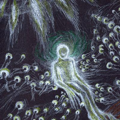 Cycles of Ascension and The Embodied Life