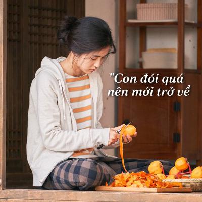 Lý do sau mỗi quyết định bỏ phố về quê