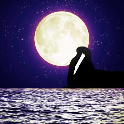 Teaser - Tusk (2014) Teaser - Tusk (2014)