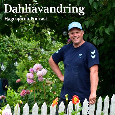 27/25: Dahliavandring med Svein Olaf Olsbu
