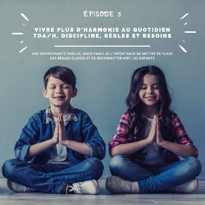 ÉPISODE 3 - Le TDA/H... ce mal aimé! Plus il y en a... plus je me demande si ce n'est pas normal finalement?!!! ÉPISODE 3 - Le TDA/H... ce mal aimé! Plus il y en a... plus je me demande si ce n'est pas normal finalement?!!!