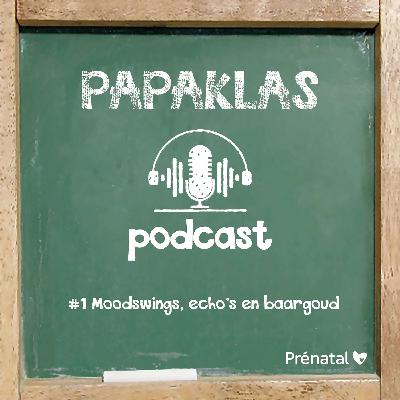 AFLEVERING 1: Moodswings, echo's en baargoud