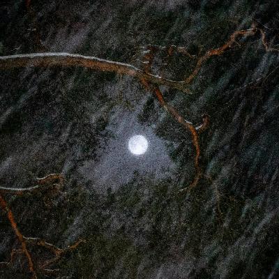 2025 Nisan Terazi Dolunayı : Astrolojide İçsel Denge, Şifa ve Karmik Dönüşüm | Astroloji'nin Sesi #54