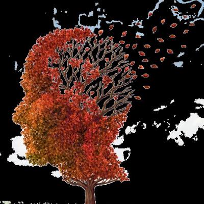 Cannabis and Alzheimer's