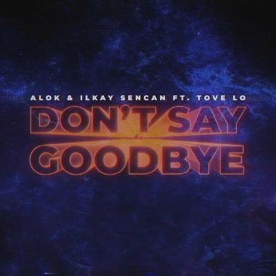ALOK & Ilkay Sencan (feat. Tove Lo) - Don't Say Goodbye (Yuksel Urer Remix)