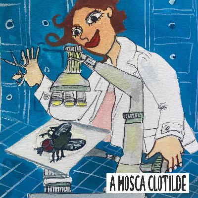 A Mosca Clotilde