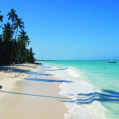 Zanzibar, l'île aux mille parfums d'épices
