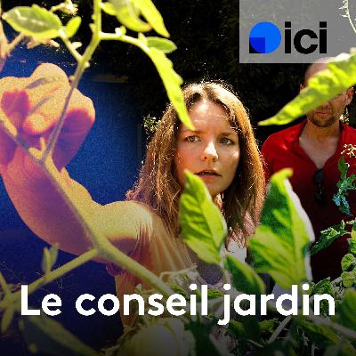 Le conseil jardin et plantes - Jacques Ginet