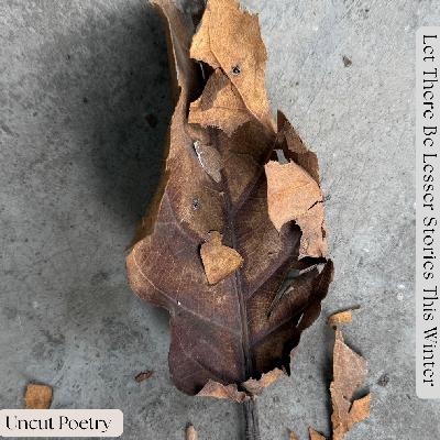 Let There Be Fewer Stories This Winter Let There Be Fewer Stories This Winter