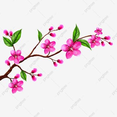 ¿Qué debo de saber acerca de los lípidos?