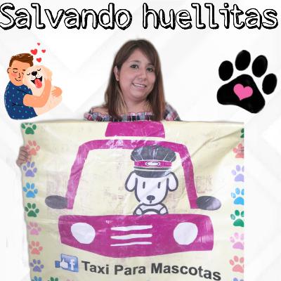 28. Salvando huellitas.