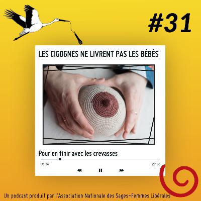 Pour en finir avec les crevasses !