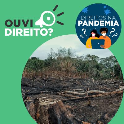 Quem financia os desastres no meio ambiente?