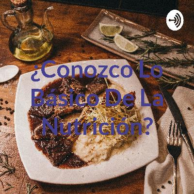 Fisiología de la absorción de nutrientes