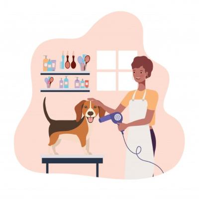 Esterilizaciones