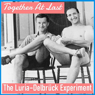 Together At Last: The Luria-Delbrück Experiment
