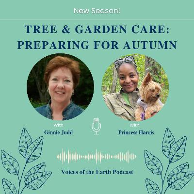 Tree & Garden Care: Preparing for Autumn