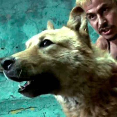 Rock en el Cine. Episodio 10. Amores perros