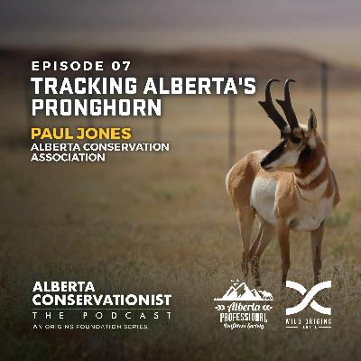 Tracking Alberta's Pronghorn || Ep. 7 Tracking Alberta's Pronghorn || Ep. 7