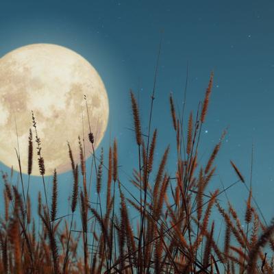 Full Harvest Moon Guided Meditation