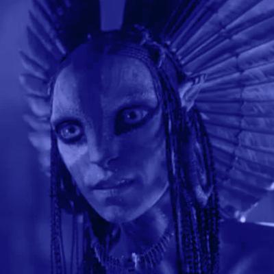 05.01.2026 | מת על אווטאר 05.01.2026 | מת על אווטאר