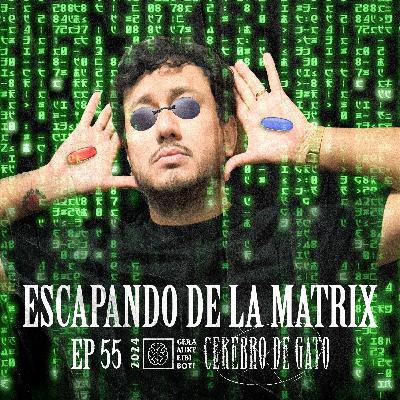 Cerebro De Gato - Episodio 55 - Escapando La Matrix
