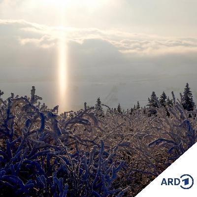 Weihnachtsgedanken - Auf silberner Schale Schnee Weihnachtsgedanken - Auf silberner Schale Schnee